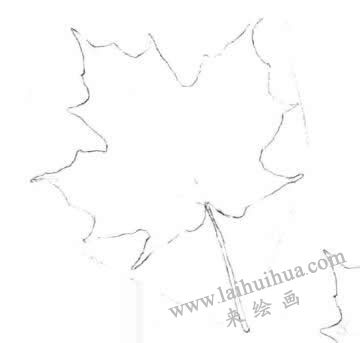 梧桐樹葉子素描畫法步驟二