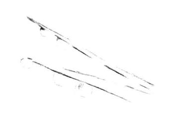 水草素描畫法步驟一