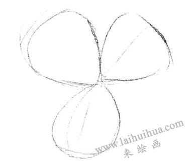 三葉草素描畫(huà)法步驟一