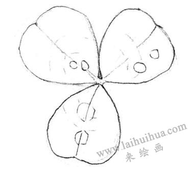 三葉草素描畫(huà)法步驟二