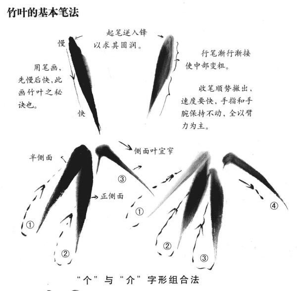 國(guó)畫竹葉的畫法