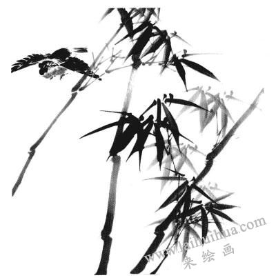 國畫竹子畫法步驟三：飛鳥