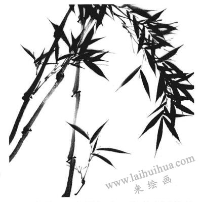 國畫竹子畫法步驟二：竹葉
