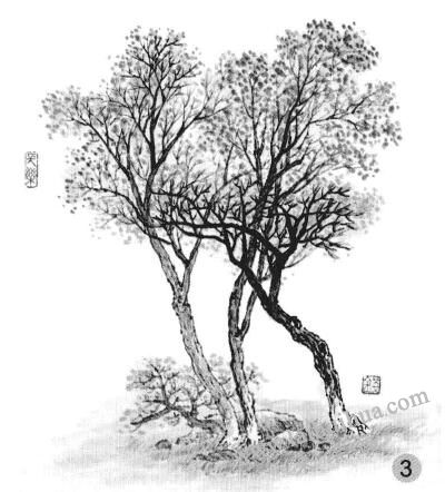 春季雜樹畫法步驟三