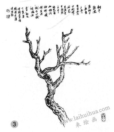 樹干畫法步驟三