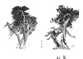 樹的皴法