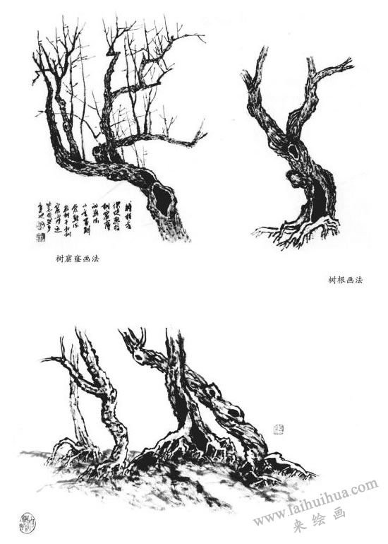 樹疤和樹窟窿的畫法及樹根的畫法