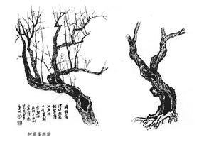 樹(shù)疤和樹(shù)窟窿的畫(huà)法及樹(shù)根的畫(huà)法