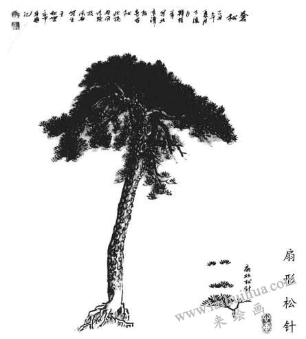 扇形松針的畫法