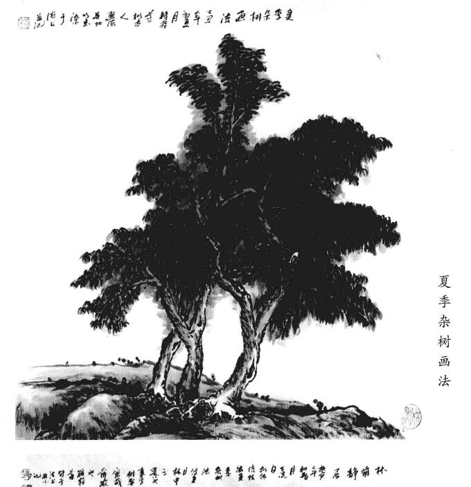 夏季雜樹畫法