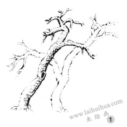 雪樹畫法步驟一