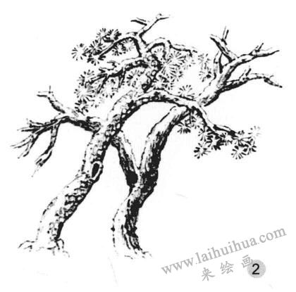 雪樹畫法步驟二