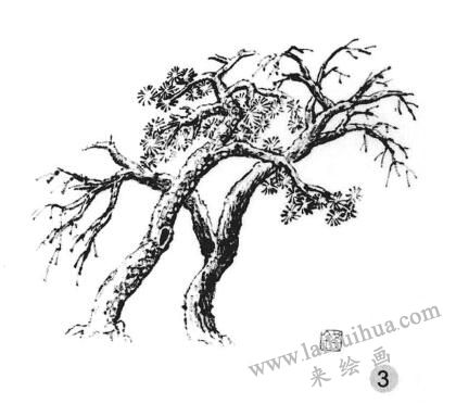 雪樹畫法步驟三