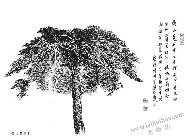 山水國畫樹木寫生的分類和要點