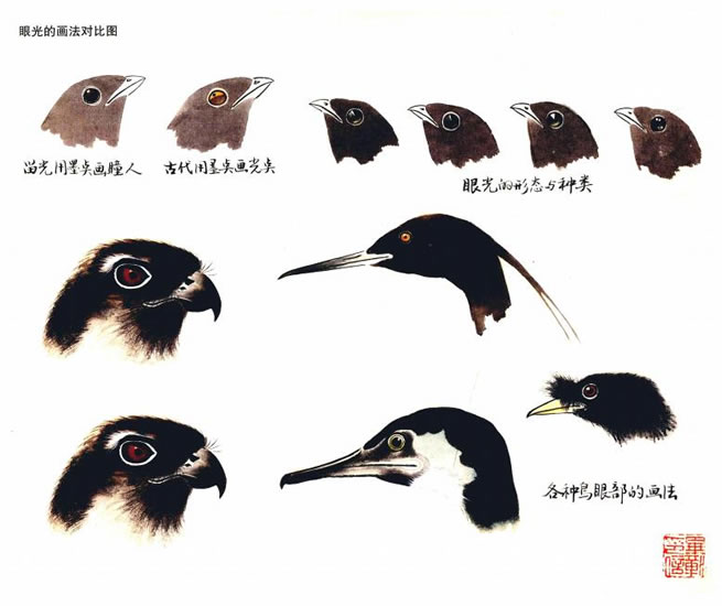 鳥(niǎo)的嘴和眼的畫(huà)法