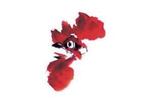 公雞的步驟畫(huà)法二