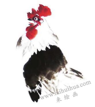 公雞的步驟畫(huà)法三