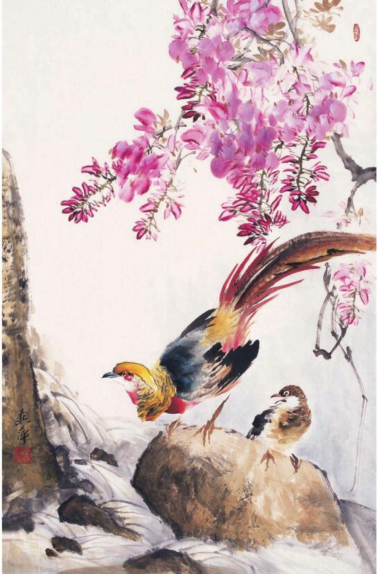 錦雞的步驟畫(huà)法