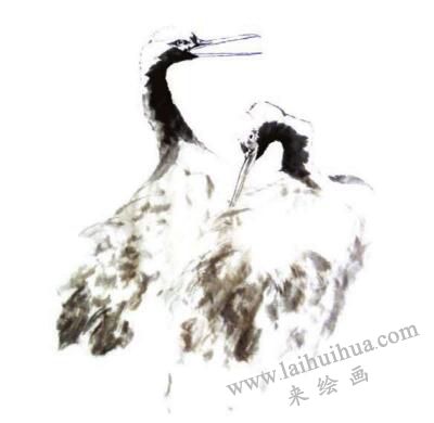 仙鶴的步驟畫法三