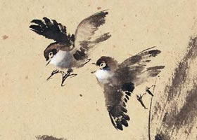 麻雀的步驟畫(huà)法