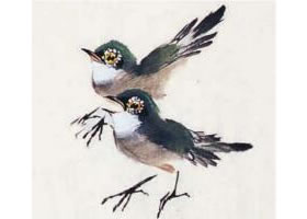 繡眼鳥步驟畫法