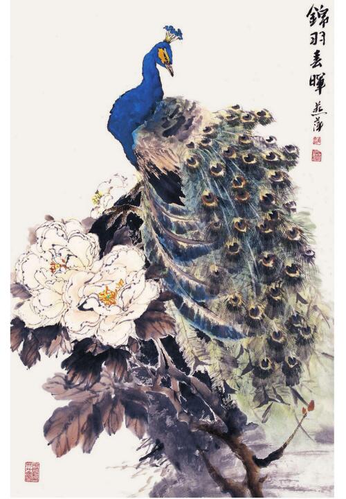 孔雀的步驟畫法