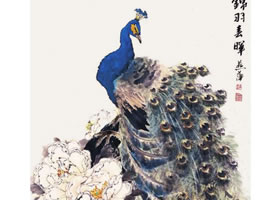 孔雀的步驟畫法