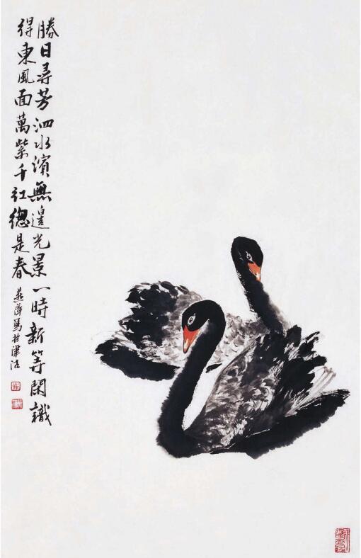 黑天鵝的步驟畫法