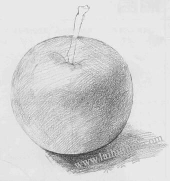 蘋果素描畫法步驟03