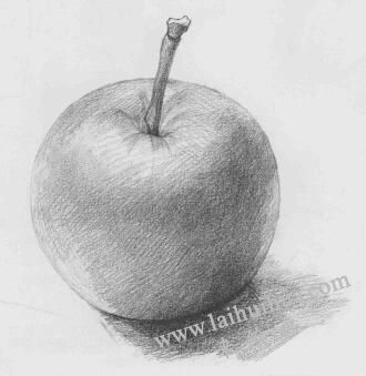 蘋果素描畫法步驟04