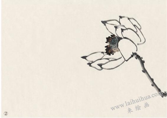 完整荷花畫(huà)作品畫(huà)法步驟二