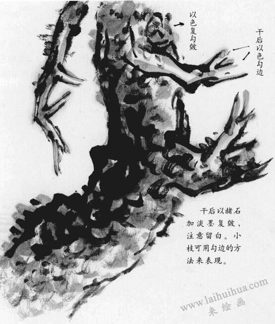 松樹皮的畫法