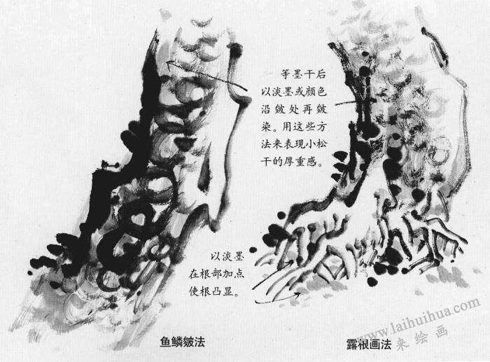 松樹根的畫法