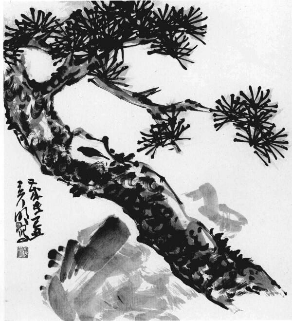松樹畫法步驟范例練習(xí)（二）