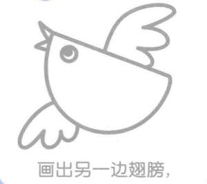 麻雀的簡筆畫畫法步驟04