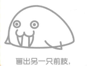 海象的簡(jiǎn)筆畫畫法步驟