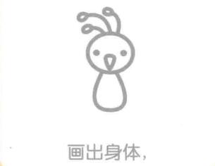 孔雀的身體