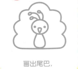 孔雀的腳部，簡筆畫