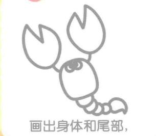 蝎子的身體和尾部