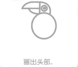 老鷹的頭部，老鷹的簡(jiǎn)筆畫畫法步驟02