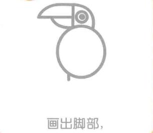 老鷹的腳部，簡(jiǎn)筆畫