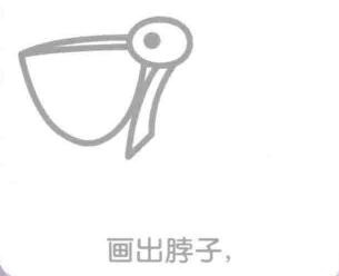 鵜鶘的脖子，簡筆畫