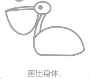 鵜鶘的身體，簡筆畫