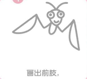 螳螂的前肢，簡筆畫