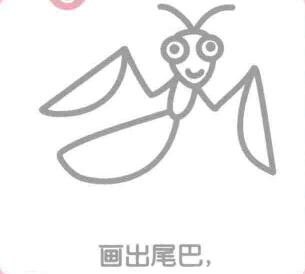 螳螂的尾巴，簡筆畫