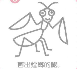 螳螂的簡筆畫