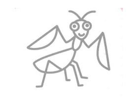 螳螂的簡(jiǎn)筆畫(huà)