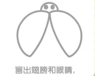 瓢蟲的翅膀和眼睛，簡筆畫