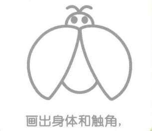 瓢蟲的身體和觸角，簡筆畫