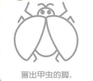 瓢蟲的腳，簡筆畫